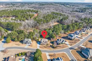 1393 Silver Thorne Ct, Loganville, GA 30052 - Photo 68