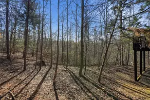 589 Spalding Cir, Ellijay, GA 30540 - Photo 28