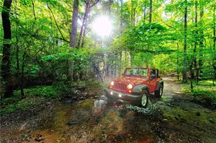 119 Soaring Hawk Cir, Big Canoe, GA 30143 - Photo 48