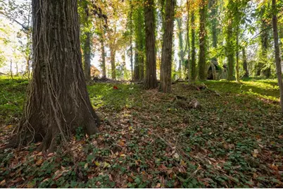 2924 Lavista Road, Decatur, GA 30033 - Photo 22