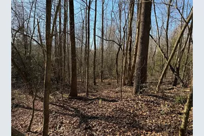 117 Joes Cove, Dawsonville, GA 30534 - Photo 74