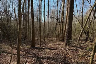 117 Joe's Cv, Dawsonville, GA 30534 - Photo 74