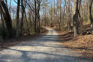 117 Joe's Cv, Dawsonville, GA 30534 - Photo 72