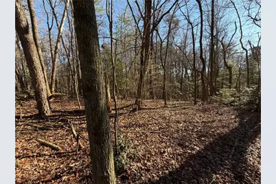 117 Joes Cove, Dawsonville, GA 30534 - Photo 76