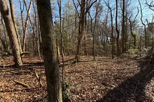 117 Joe's Cv, Dawsonville, GA 30534 - Photo 76