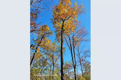 400 Kitchens Mountain Road, Cartersville, GA 30120 - Photo 18