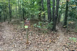 1029 N Jamestown Rd, Decatur, GA 30033 - Photo 36