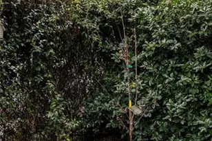 2060 Telfair Cir NE, Atlanta, GA 30324 - Photo 44