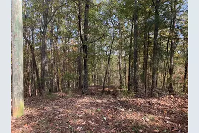 128 Adair Drive, Ranger, GA 30734 - Photo 12