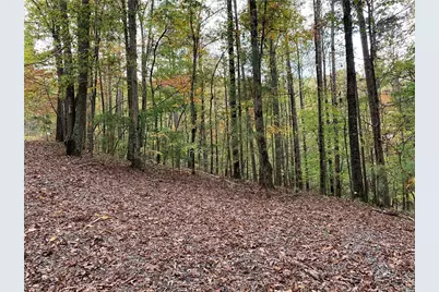 128 Adair Drive, Ranger, GA 30734 - Photo 6