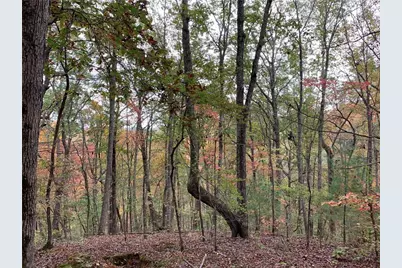 128 Adair Drive, Ranger, GA 30734 - Photo 2