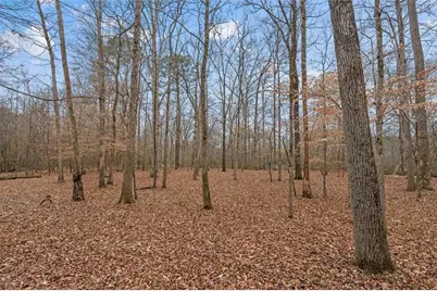 218 N Ole Hickory Trail N, Carrollton, GA 30117 - Photo 50