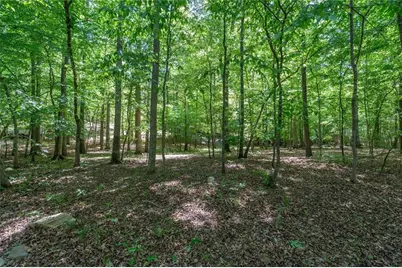 218 N Ole Hickory Trail N, Carrollton, GA 30117 - Photo 66