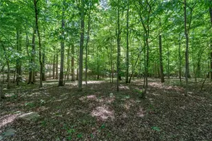 218 N Ole Hickory Trail N, Carrollton, GA 30117 - Photo 66