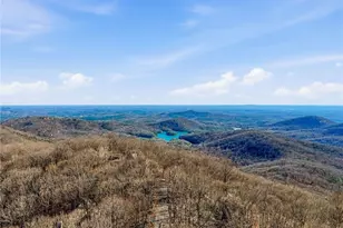 425 Sanderlin Mountain Dr, Jasper, GA 30143 - Photo 38