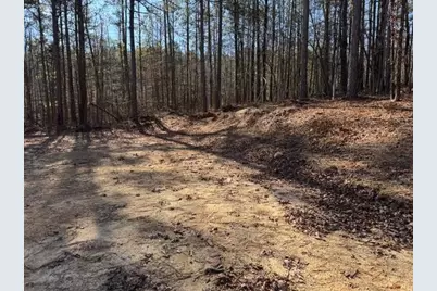 727 Central High Road, Carrollton, GA 30116 - Photo 12