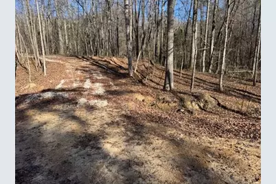 727 Central High Road, Carrollton, GA 30116 - Photo 10