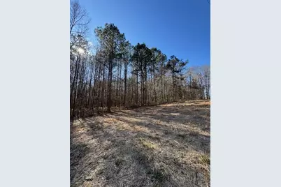 727 Central High Road, Carrollton, GA 30116 - Photo 20