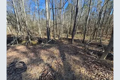 727 Central High Road, Carrollton, GA 30116 - Photo 8