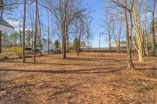 3617 Bob White Ln, Loganville, GA 30052 - Photo 48