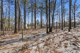 123 Georgia Hwy 211 SE, Statham, GA 30666 - Photo 44