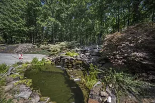 10 Clydesdale Trail, White, GA 30184 - Photo 66