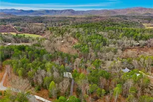 107 Cool Crk Trail, Blue Ridge, GA 30513 - Photo 68