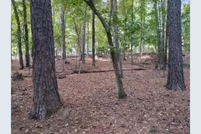 0 Old Southwick Pass, Johns Creek, GA 30022 - Photo 60