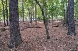 0 Old Southwick Pass, Johns Creek, GA 30022 - Photo 60