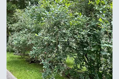 2736 Whisper Trail, Douglasville, GA 30135 - Photo 36