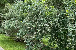 2736 Whisper Trail, Douglasville, GA 30135 - Photo 36