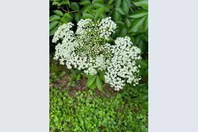 2736 Whisper Trail, Douglasville, GA 30135 - Photo 40