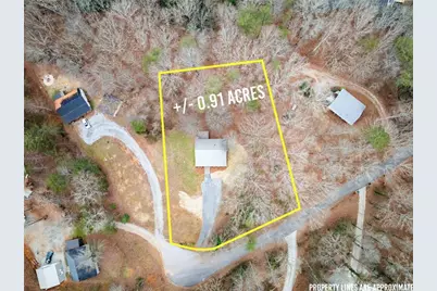 290 Silver Fox Drive, Dawsonville, GA 30534 - Photo 4