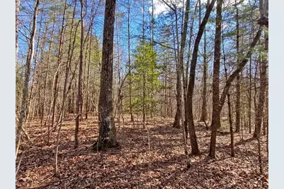 17.8Ac Frogtown Road, Dahlonega, GA 30533 - Photo 6