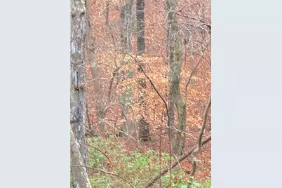 00 Crooked Creek, Jasper, GA 30143 - Photo 1