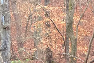 00 Crooked Creek, Jasper, GA 30143 - Photo 1