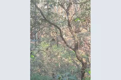 00 Crooked Creek, Jasper, GA 30143 - Photo 14