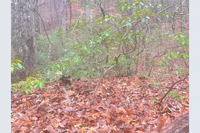 00 Crooked Creek, Jasper, GA 30143 - Photo 2