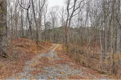 Lot5 Purvis Road, Baldwin, GA 30511 - Photo 4