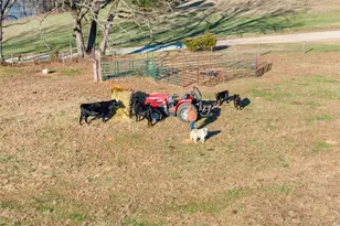 552 Vista View Pl, Cleveland, GA 30528 - Photo 54