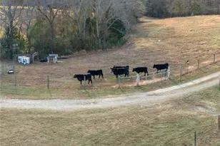 552 Vista View Pl, Cleveland, GA 30528 - Photo 80