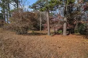 6445 Newborn Dr SW, Atlanta, GA 30349 - Photo 4