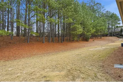 163 Hawthorne Ridge Circle, Dallas, GA 30132 - Photo 42