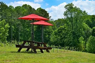 119 Inland Dr, Talking Rock, GA 30175 - Photo 14