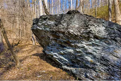 0 Captain McDonald Rd, Dahlonega, GA 30533 - Photo 44