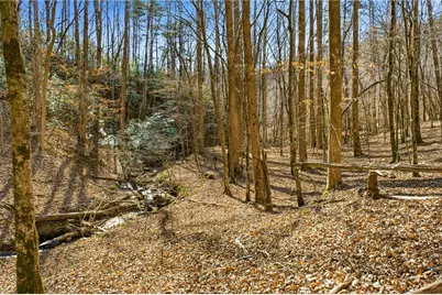 0 Captain McDonald Rd, Dahlonega, GA 30533 - Photo 34