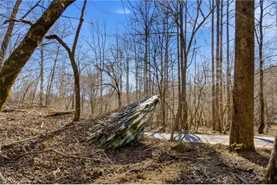 0 Captain McDonald Rd, Dahlonega, GA 30533 - Photo 46