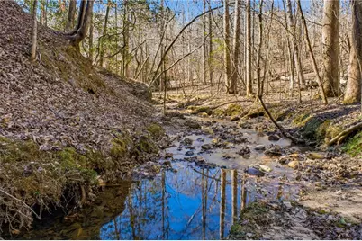 0 Captain McDonald Rd, Dahlonega, GA 30533 - Photo 38