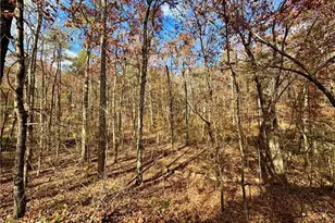 1012 King Mill Rd, McDonough, GA 30252 - Photo 46