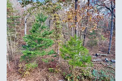 1012 King Mill Road, McDonough, GA 30252 - Photo 48